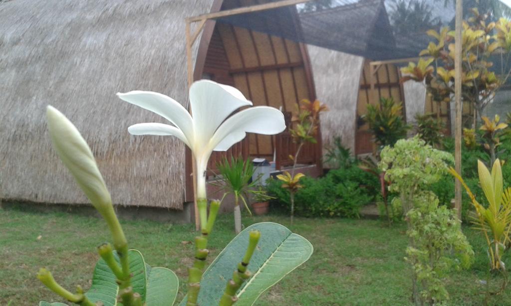 Kelapa Gading Bungalows Gili Air Bilik gambar